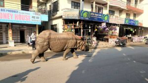 आगो तापिरहेको ठाउँमा गैँडाको आक्रमण, २ महिला घाईते